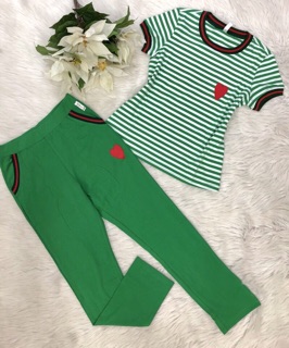 Combo 5 bộ cotton cao cấp saigonnew