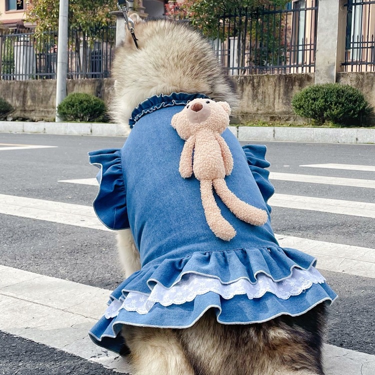 Váy Denim bò dáng gấu nhỏ Quần áo cho chó Quần áo cho mèo Quần áo cho thú cưng Chó cỡ trung và lớn Có nhiều kích cỡ để lựa chọn cho chó Chó săn vàng Chó Siberia Chó Alaska