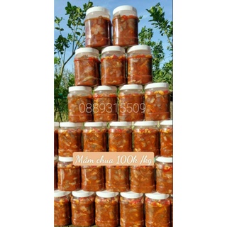 Mắm cá đồng Bạc Liêu ( mắm chua cá rô sặc không xương ) 500gram
