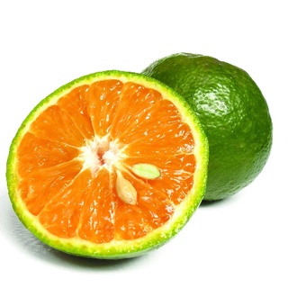 Cam sành hữu cơ