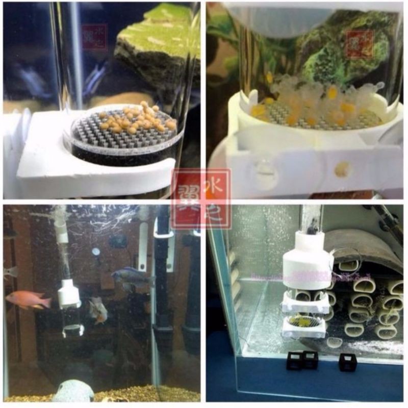 Lồng ấp trứng cá ali và các loại cá dòng Cichlids