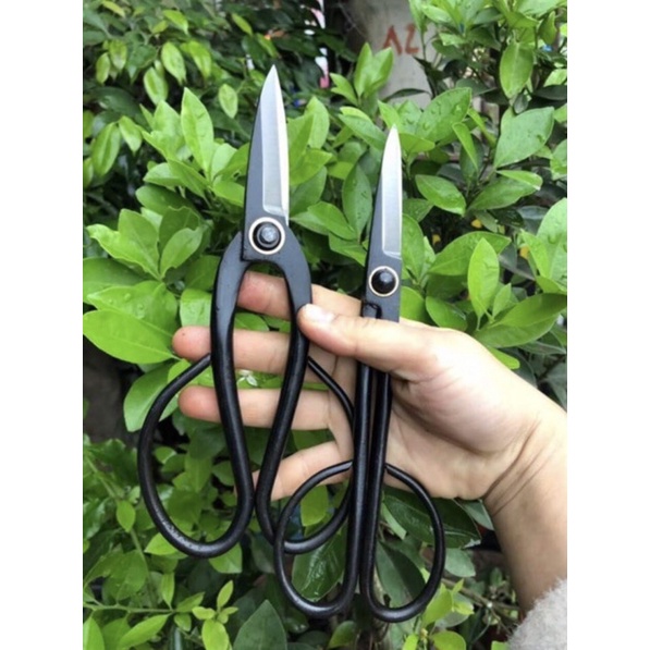 Kéo tỉa răm ,tỉa lá thép đúc nguyên khối chuyên dụng cho bonsai cây cảnh