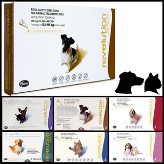 Thiết bị cách mạng cho thú cưng chó mèo và 3 Doses *Discount trên chỗ ngồi * Pet
