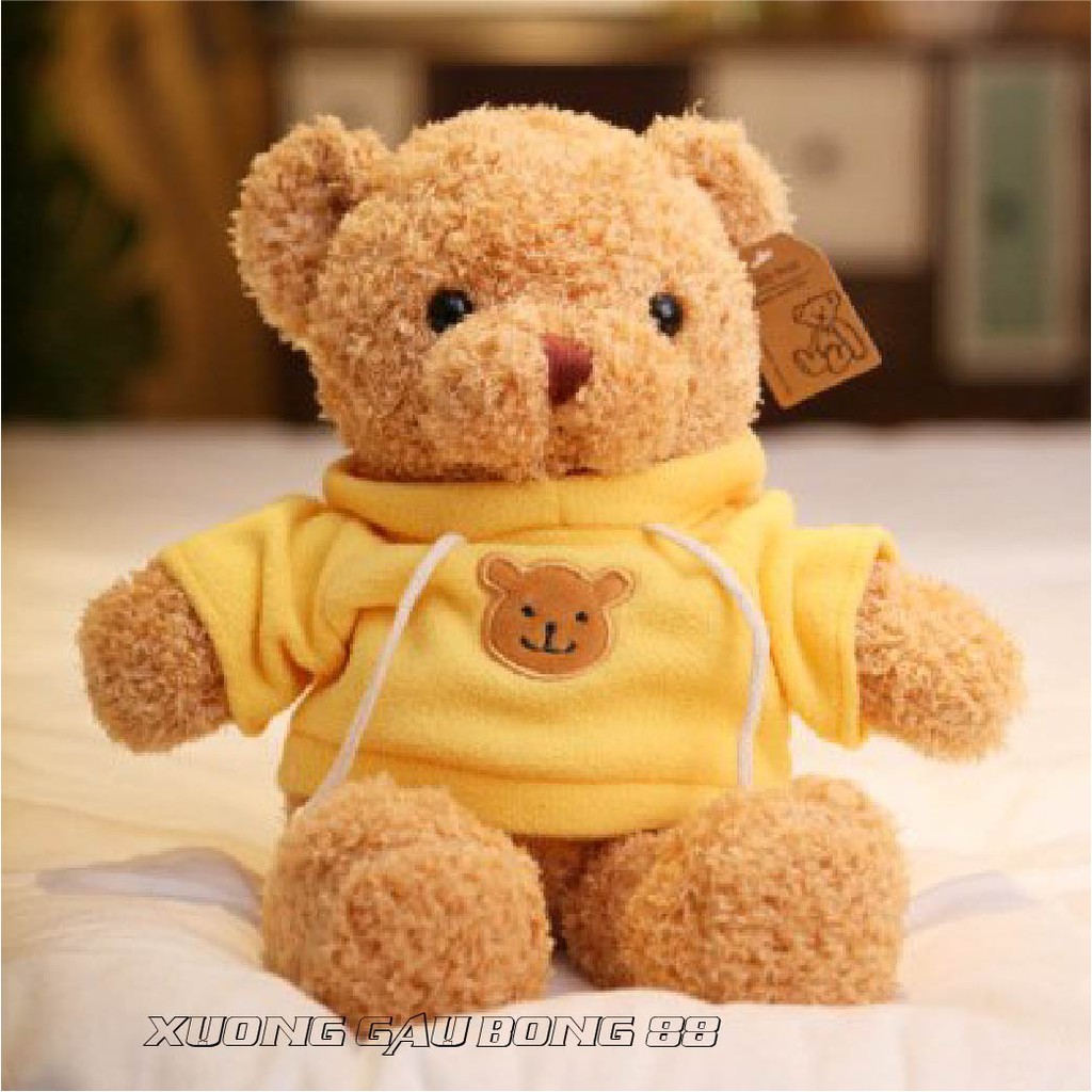 Gấu Bông Đồ Chơi cho bé Teddy Mặc Áo Hoodie Nhiều Màu Nhồi Gòn Cao Cấp Bao Xinh