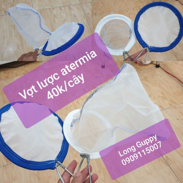 Vợt lọc atermia