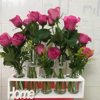 Set 5 bình cắm hoa và khay i hình