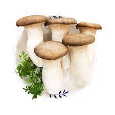 Nấm đùi gà non gói 1kg
