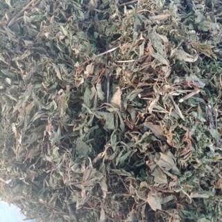 1kg Lá Đinh Lăng Sao Vàng Thơm Nức