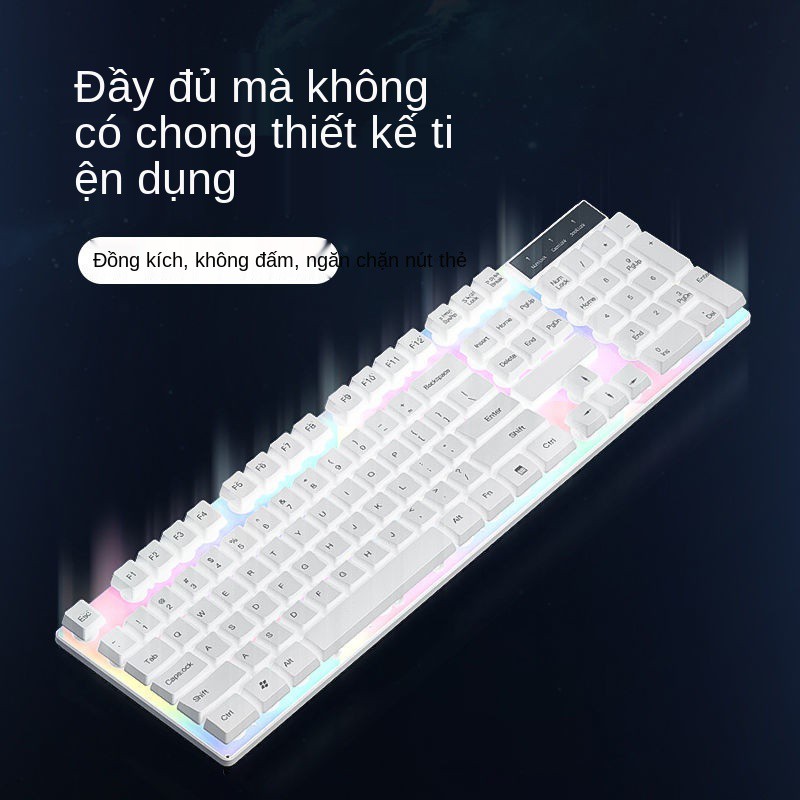 bàn phím có dây văn phòng bộ chuột gõ đặc biệt, cảm giác thao tác, máy tính để tắt tiếng trò chơi game bên ng | BigBuy360 - bigbuy360.vn