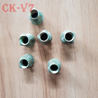 Túi ốc cấy gỗ phi 6 - 100 con