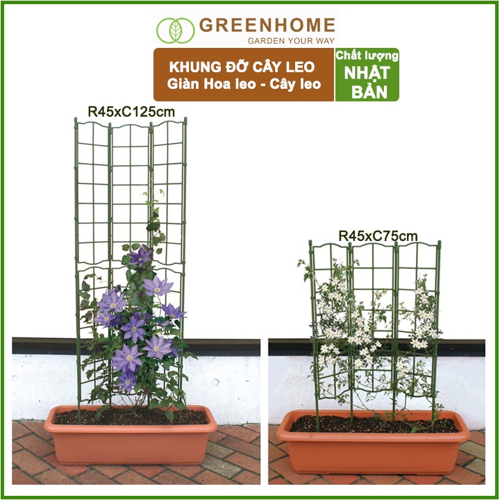 Giàn leo cho cây, Nhật Bản, Daim, R45xC125cm, màu xanh, khung đỡ hoa, dễ lắp ráp, độ bền 5 năm |Greenhome