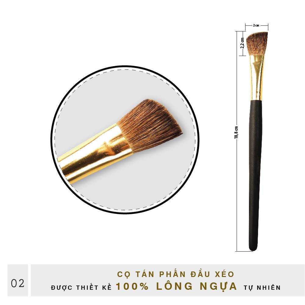 Set Cọ Trang Điểm Mắt Đầu Xéo BEALY