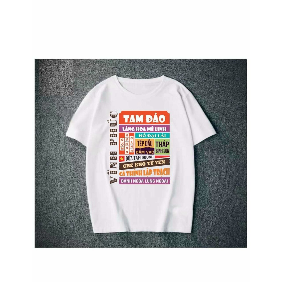 Áo in hình các tỉnh thành Việt Nam, in các danh lam thắng cảnh, đặc sản các vùng miền của tổ quốc