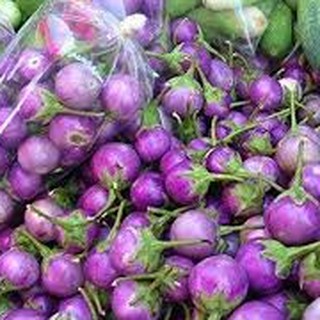 0.5gram HẠT GIỐNG CÀ PHÁO TÍM