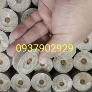 VIÊN NÉN XƠ DỪA ƯƠM HẠT GIỐNG VÀ CHIẾT NGÓ DÂU TÂY, ƯƠM KILAN,