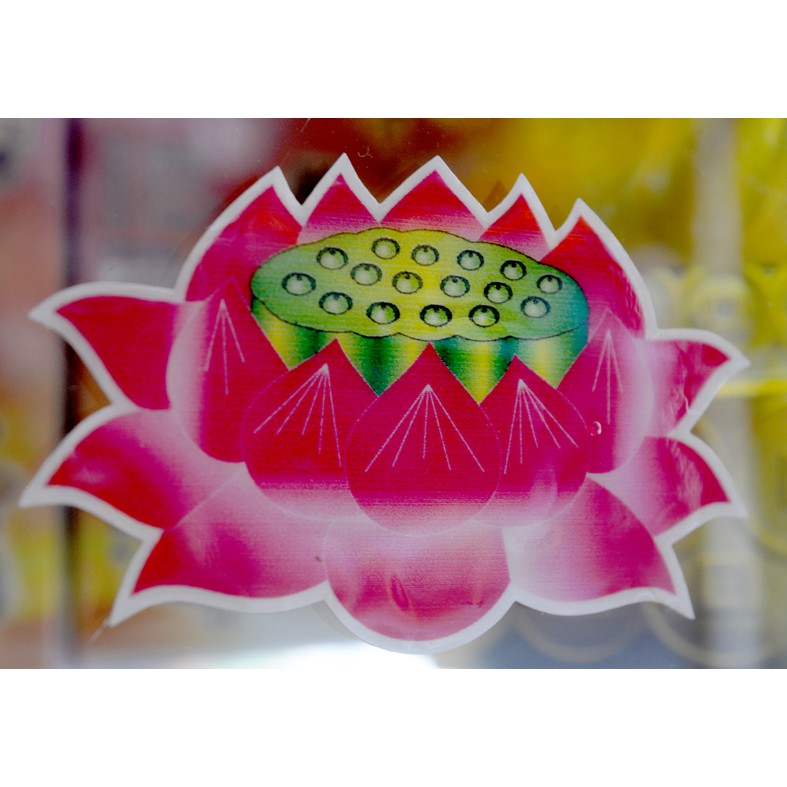 Decal hoa sen dán tường,dán xe,trang trí