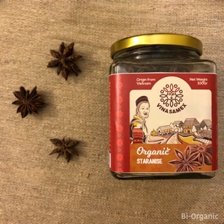 HOA HỒI HỮU CƠ VINASAMEX (100g) - Organic Star Anise