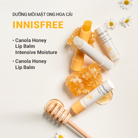 Son Dưỡng Cấp Ẩm Innisfree Canola Honey Lip Balm