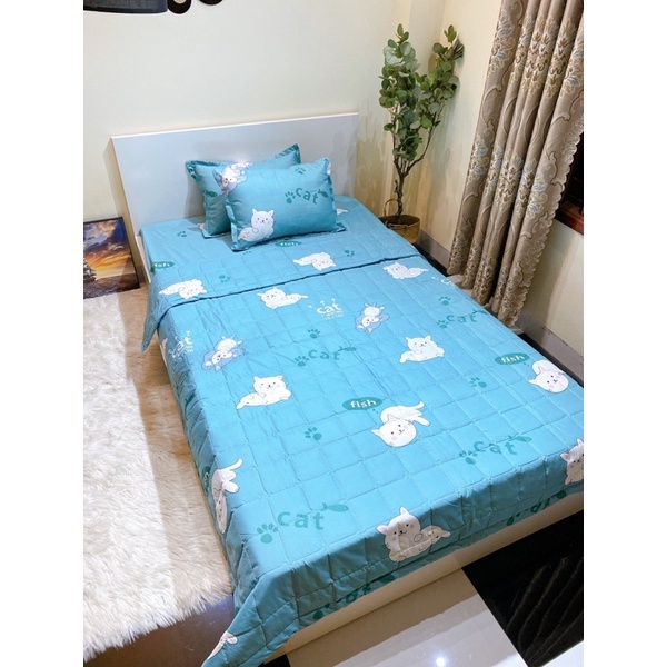 Bộ chăn hè ga gối cotton poly dễ thương mềm mại thoải mái có nhiều kích cỡ