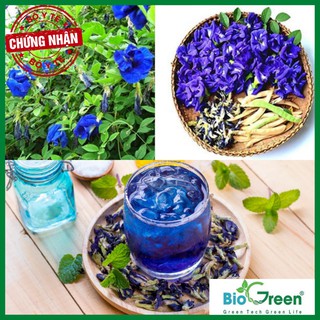 Trà hoa đậu biếc Loại 1 sấy khô nguyên bông 50gram