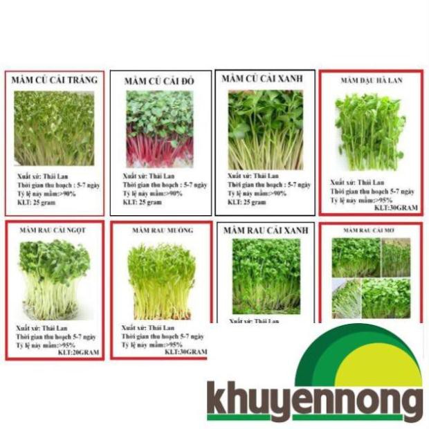 Combo 8 loại hạt giống rau mầm 8 gói như hình(củ cải trắng, củ cải đỏ, củ cải xanh, đậu hà lan, rau muống, cải ngọt...)
