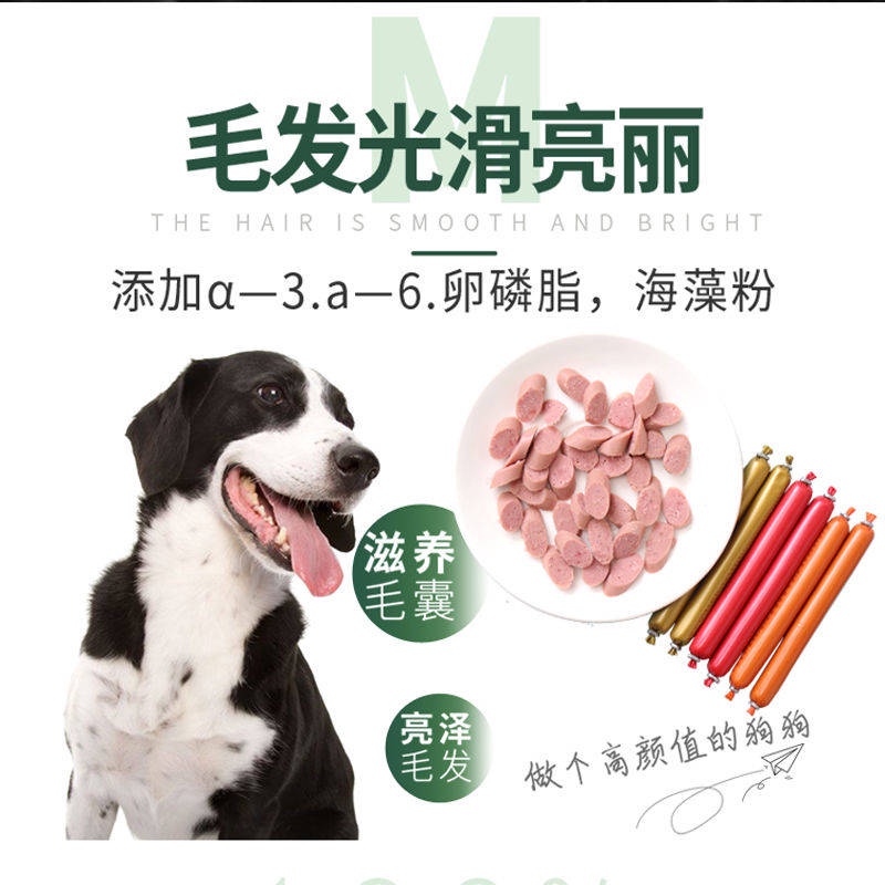 Dog Ham Xúc xích Teddy Gold Hair Pupgie Cat Snacks Canxi Pet cung cấp xúc xích Gói thức ăn cho chó