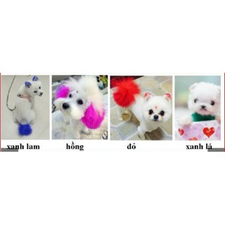 {XẢ }Thuốc nhuộm lông cho chó mèo