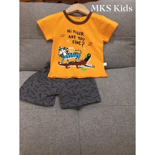 Bộ đồ bé trai, gai hình siêu cute hàng cotton co dãn