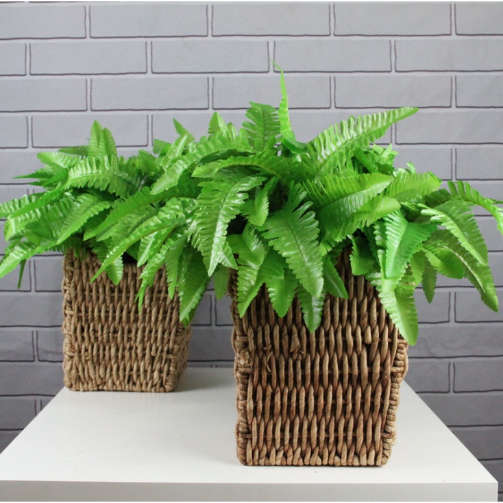 Set 7 Nhánh 21 Lá Dương Xỉ Nhân Tạo Trang Trí Nhà Cửa