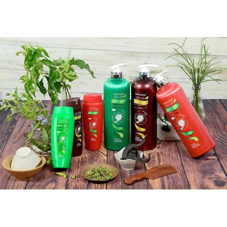 Dầu Gội Sạch Gàu Thái Dương