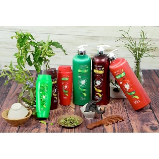 Dầu Gội Sạch Gàu Thái Dương