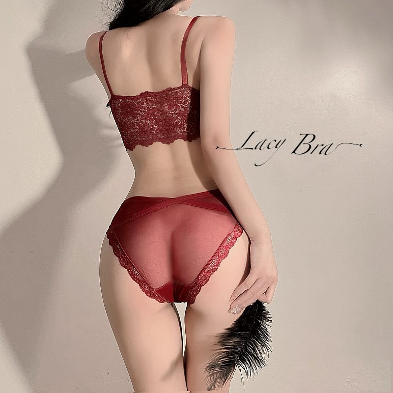 Bộ Bralette Ren Phối Quần Lót Voan Mỏng Cạp Chéo Sexy Lacy Bra - B15 | BigBuy360 - bigbuy360.vn