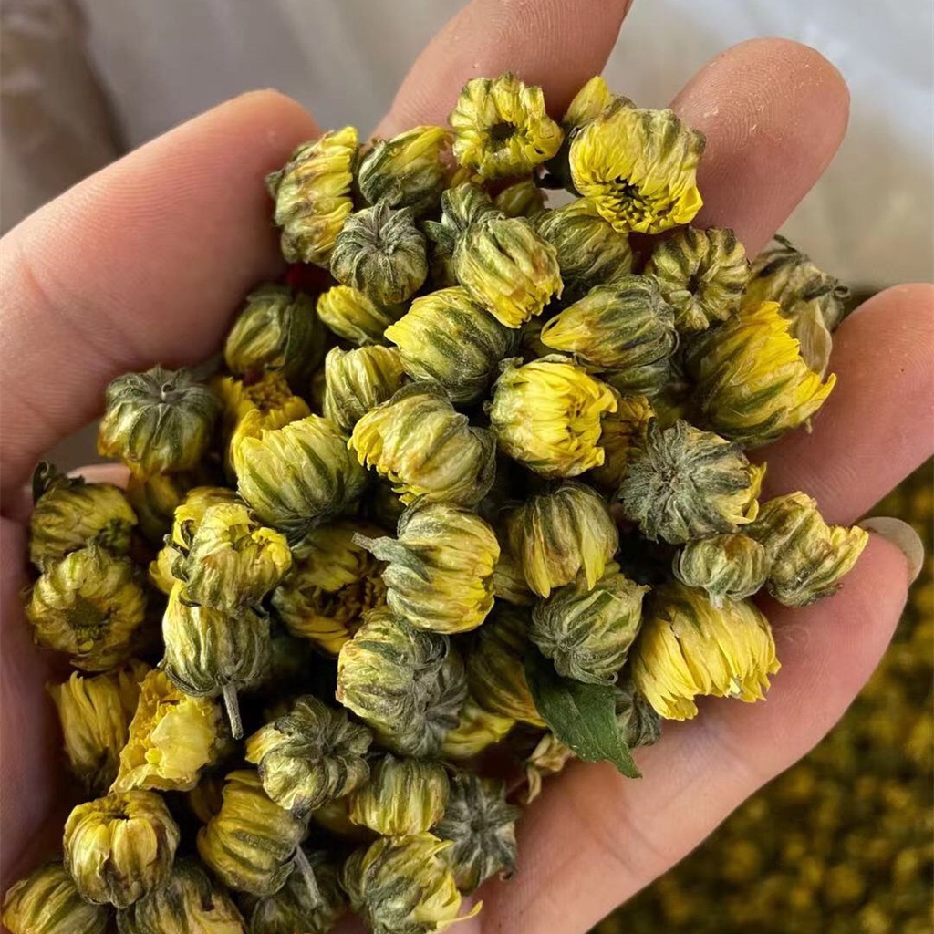 1kg Bông Cúc Nụ Sấy Lạnh - Giúp Thanh Nhiệt, Hỗ Trợ Hệ Tiêu Hoá