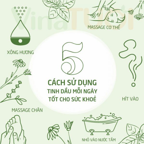 Tinh dầu Tràm Trà Tea Tree Oil Nguyên Chất Vina Tươi 10ml Trị Mụn Cấp Tốc - Kháng Viêm, Kháng Khuẩn