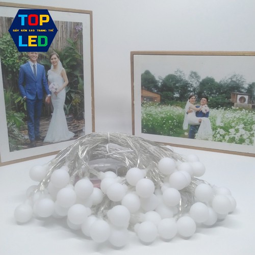 Dây đèn led trang trí cherry ball dài 2 mét 10 bóng dùng pin giá rẻ TOPLED T010