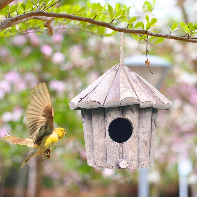 Ngôi nhà chim bằng gỗ hình tròn làm thủ công bảo vệ môi trường chống nhiễm khuẩn