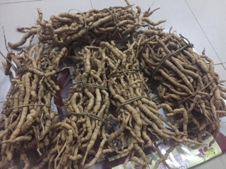 ba kích rừng