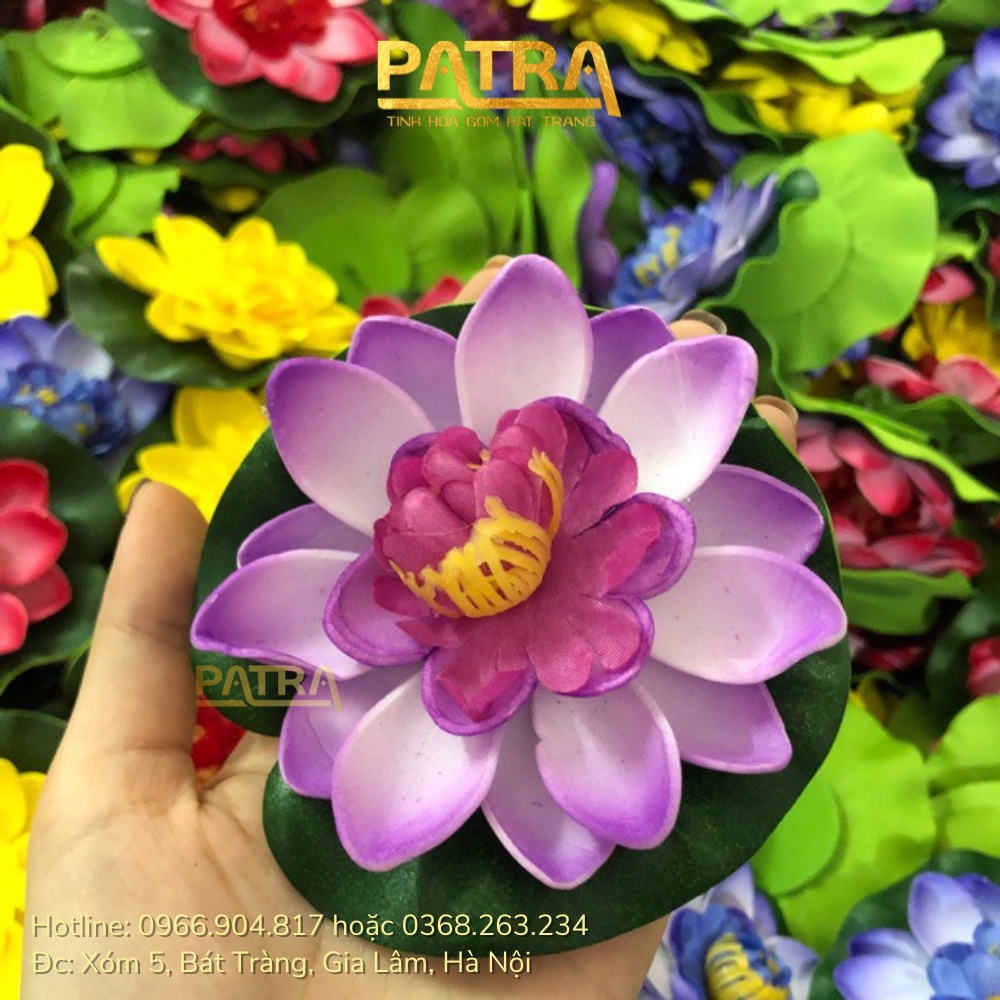 Hoa sen thả hồ trang trí tiểu cảnh, thả bát tụ thủy, thả hồ, thả bể cá