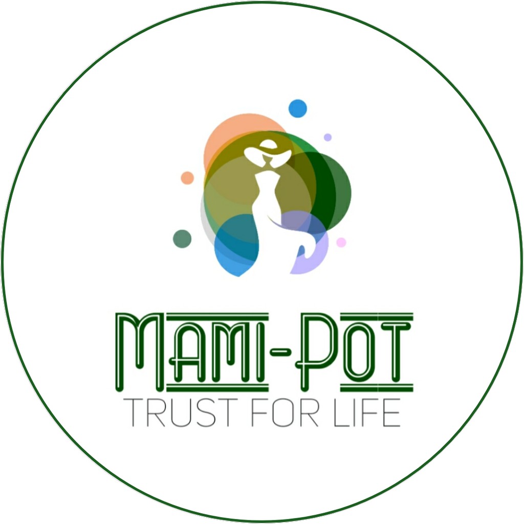 Mami Pot, Cửa hàng trực tuyến | BigBuy360 - bigbuy360.vn