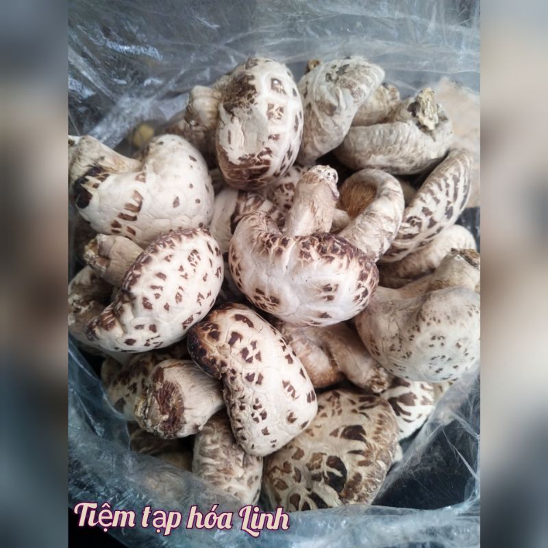 100g Nấm bông Nhật size to (trắng, dày, ngon)