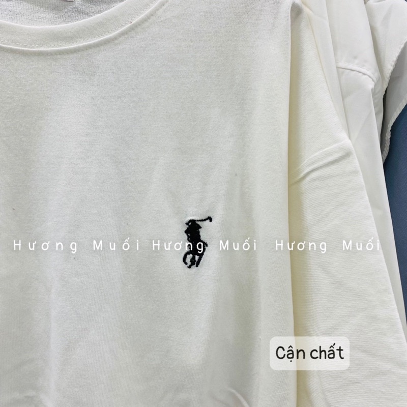Áo thun thêu ngựa nhỏ - thun mặt nhung