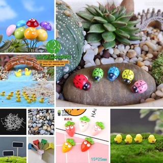 [ Đồng giá 2k ] phụ kiện trang trí tiểu cảnh sen đá , xương rồng , terrarium