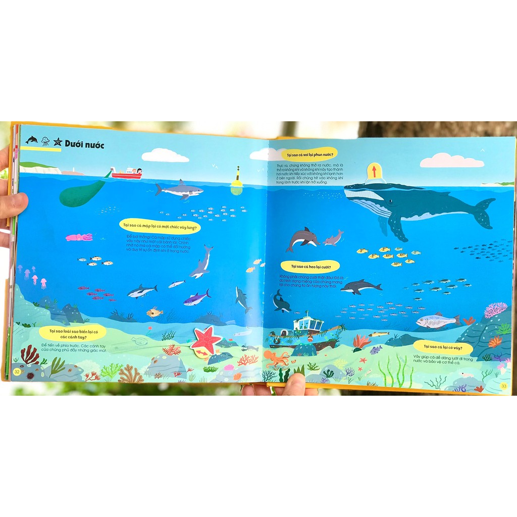 Sách - 1001 Câu Hỏi Đáp Về Thế Giới Quanh Ta - Tại Sao? - Như thế nào? - Bao nhiêu?