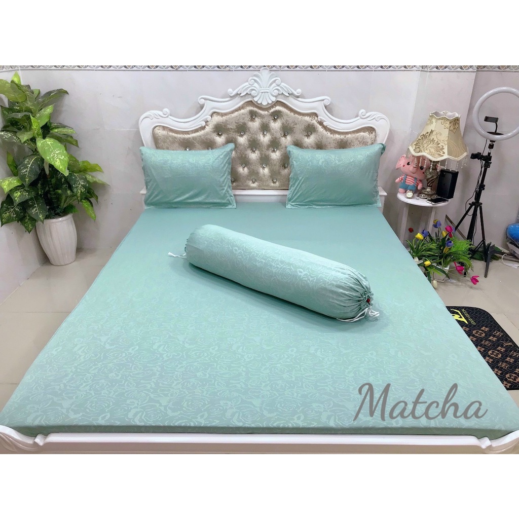 Thun GẤM HOA HỒNG, giá siêu yêu thương