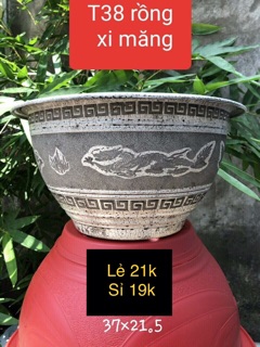 Combo  800 chậu C6 + 100 chậu C10