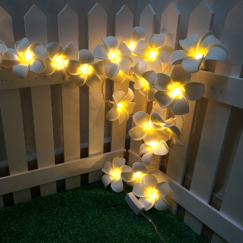 Led frangipani lamp string ins room decoration lamp wedding outdoor holiday lantern  Fairy Light Led Operated Pixie Light 3metres 30L Christmas decorations  Lamp Lights 10/20/30/50 LED Fairy LED String Round Ball Blubs Party Decor