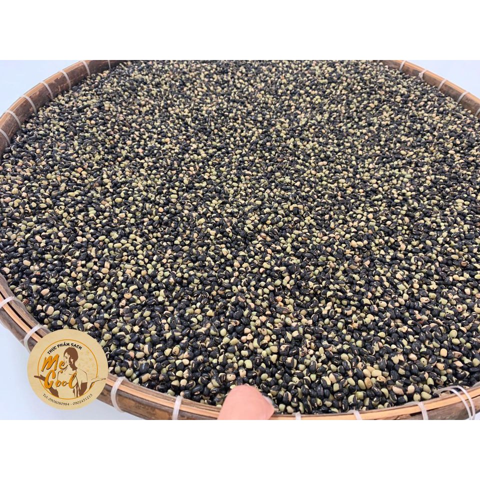 TRÀ ĐẬU ĐEN ĐỐM GẠO LỨT 500 GRAM - TPS MẸ COOL