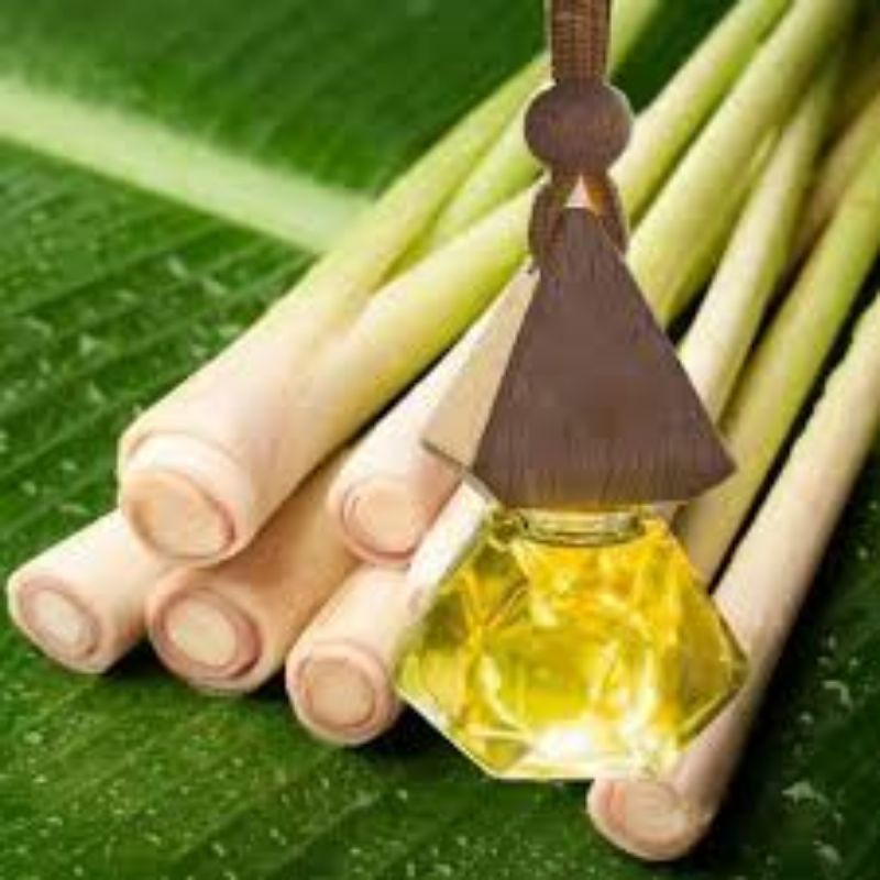 Tinh dầu treo xe