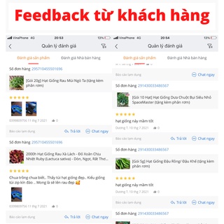Hạt Giống Bí ngòi xanh