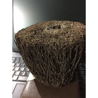 4 trụ dớn cao 15 cm đường kính trụ từ 12cm~16cm